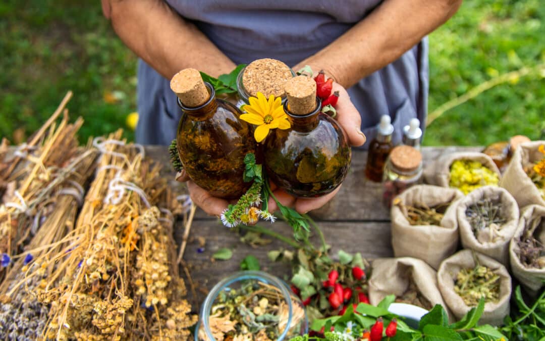 Nature’s Gift: Unveiling the Top 3 Herbs for Comprehensive Herbal Immune Support